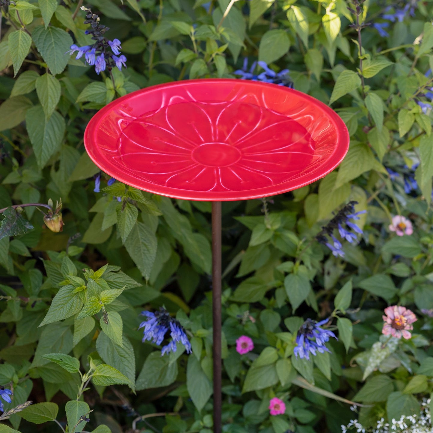 Achla Petunia Lolly 12in Birdbath with Stake | Petunia Pink Glass Enamel on Brass and Wrought Iron | Garden & Patio Bird Bath | 12 x 12 | Model EBB-02P-S