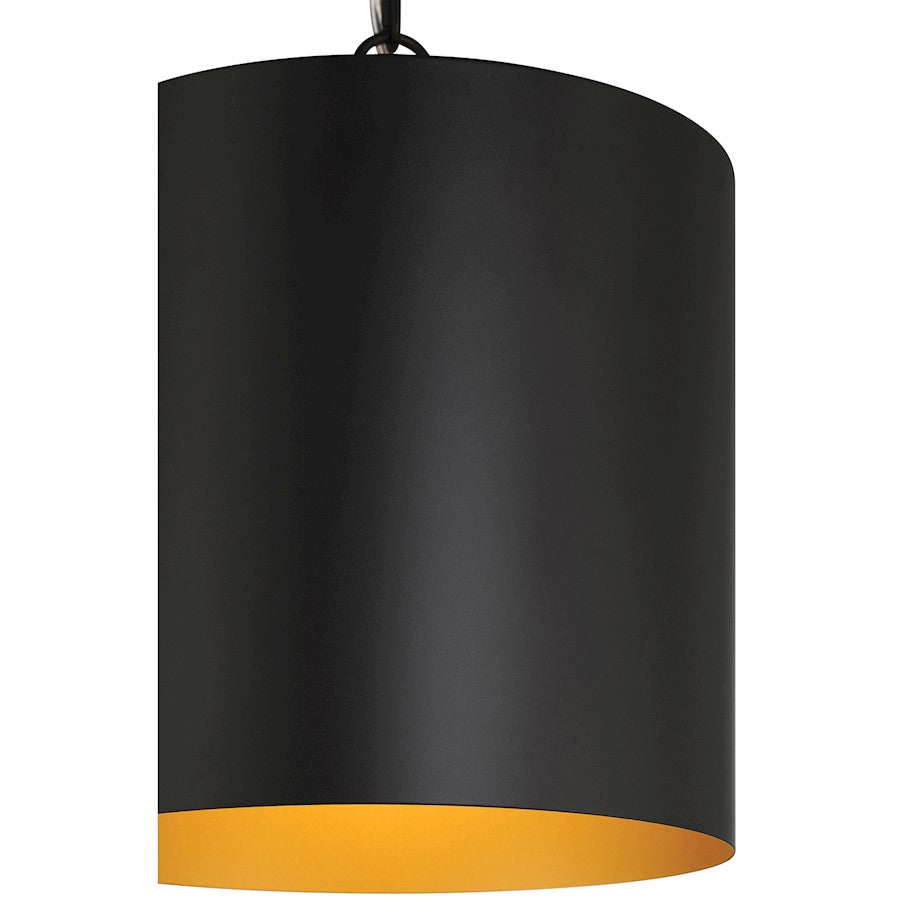 1 Light Pendant, Matte Black