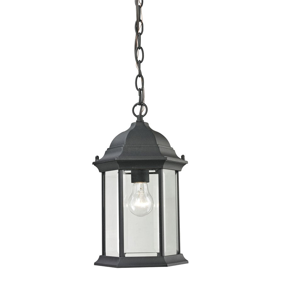 Atlas Lighting Spring Lake 8in 1-Light Outdoor Pendant | Traditional Matte Black and Clear Glass | Covered Patio & Entryway | Model OL11046-BK