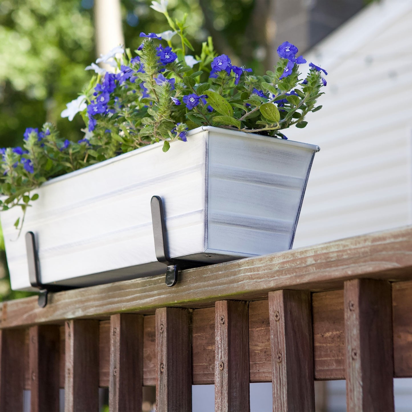 ACHLA Galvanized Steel Flower Box Planter Small 22in | Classic Cape Cod White | Window Box & Balcony Container Garden | 22 x 6 x 5 in | Model C-08W