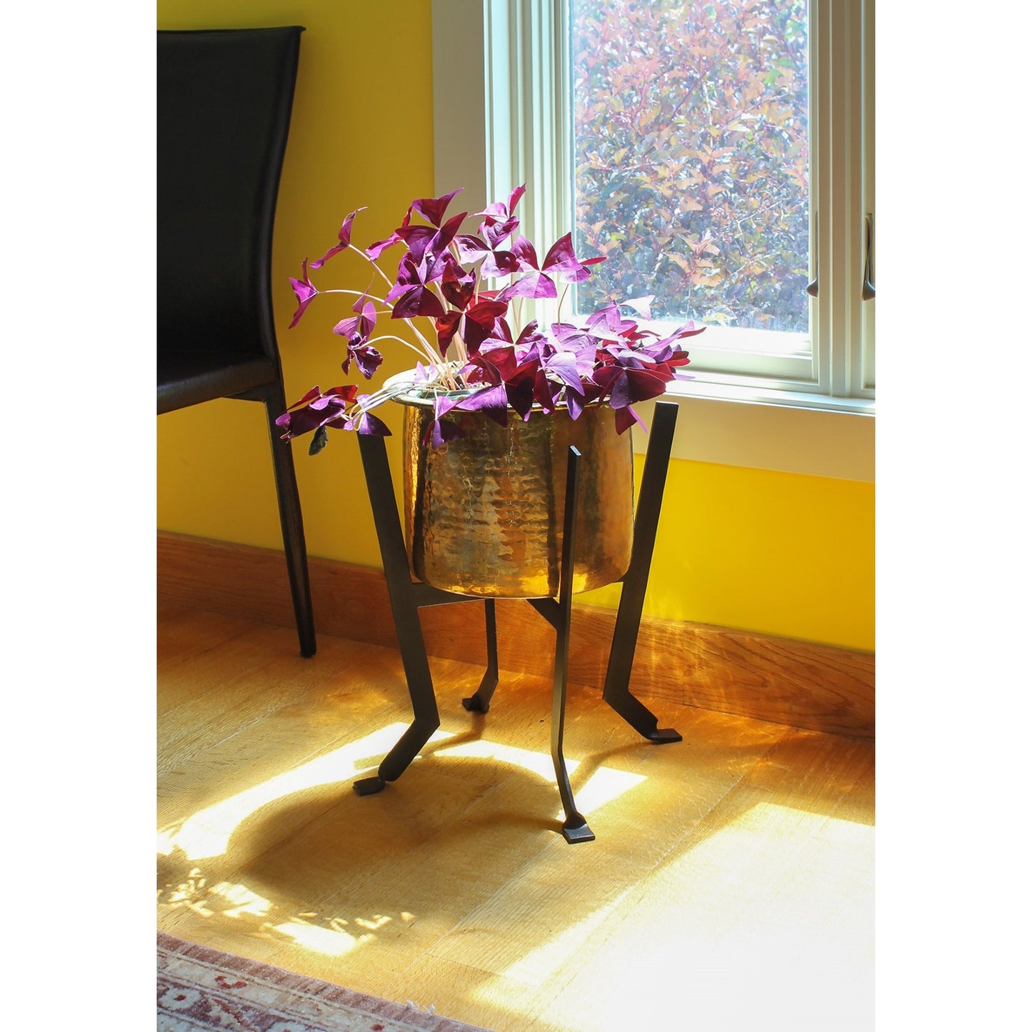 ACHLA Denise III 18in Plant Stand | Black Wrought Iron | Patio & Living Room Plant Display | 12 x 12 x 18 in | Model FB-60