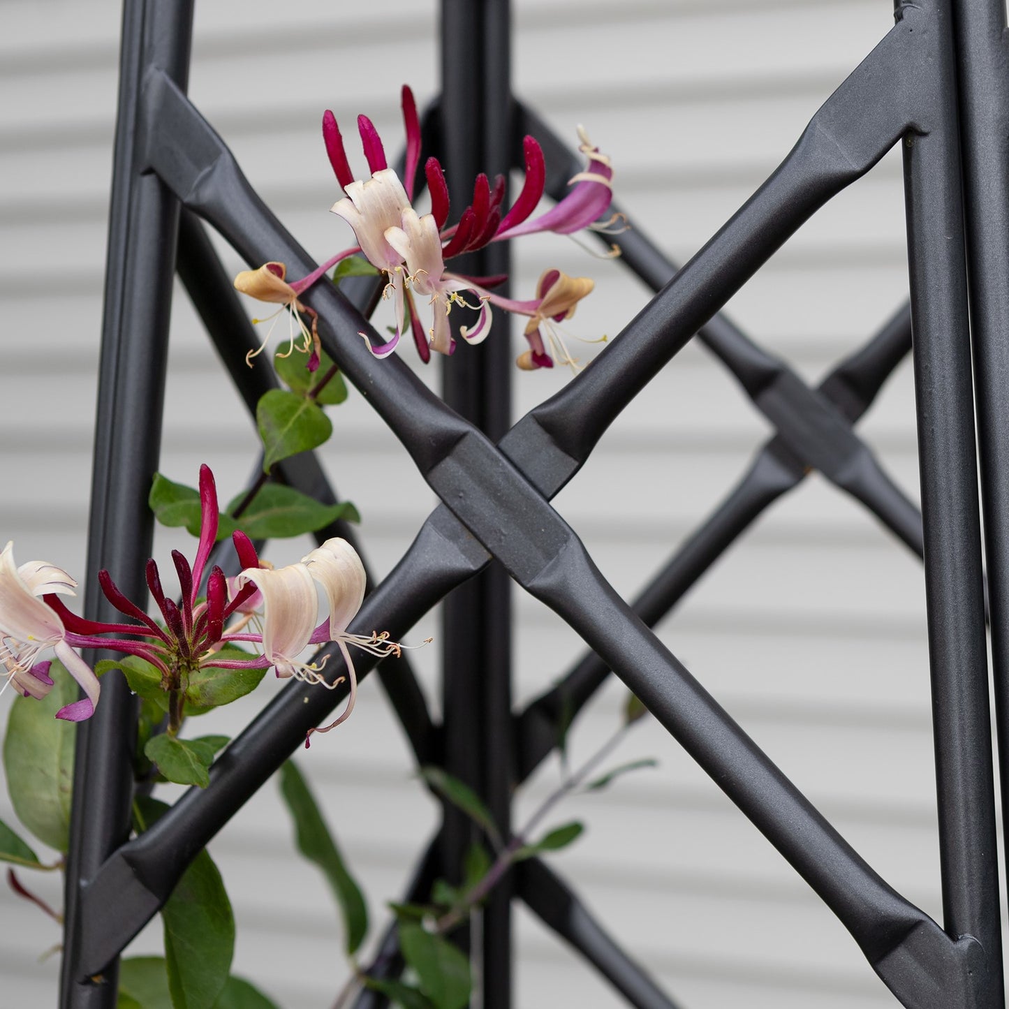 ACHLA Lattice Obelisk 67in Wrought Iron | Cottage Garden Graphite Powder Coat | Entryway & Garden Accent | 20 x 20 x 67 in | Model OBL-25