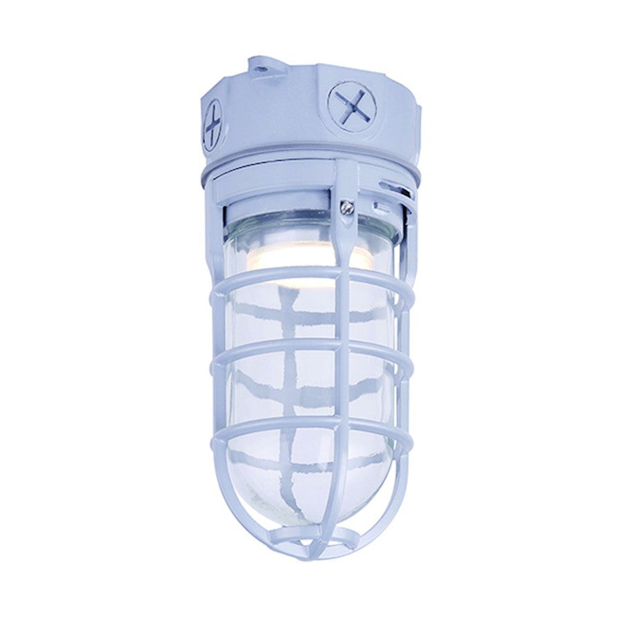 Canarm 4in 1-Light LED Outdoor Wall Sconce | Modern Grey and Clear Glass | Entryway & Covered Patio | 4.25 x 4.25 x 9.25 in | Model LOL391GY