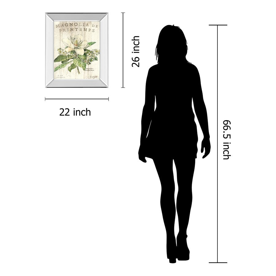 Classy Living Spring Magnolia 22x26in Wall Art | Contemporary Mirrored Frame with Real Glass | Living Room & Bedroom Botanical Decor | 22 x | Model 8108MF