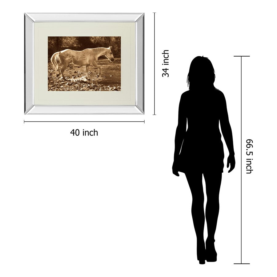 Classy Living The Crossing Wall Art 40x34in | Contemporary Mirrored Frame Sepia Horse Photo | Living Room & Office Decor | 40 x 34 x 3 in | Model DM5333MF