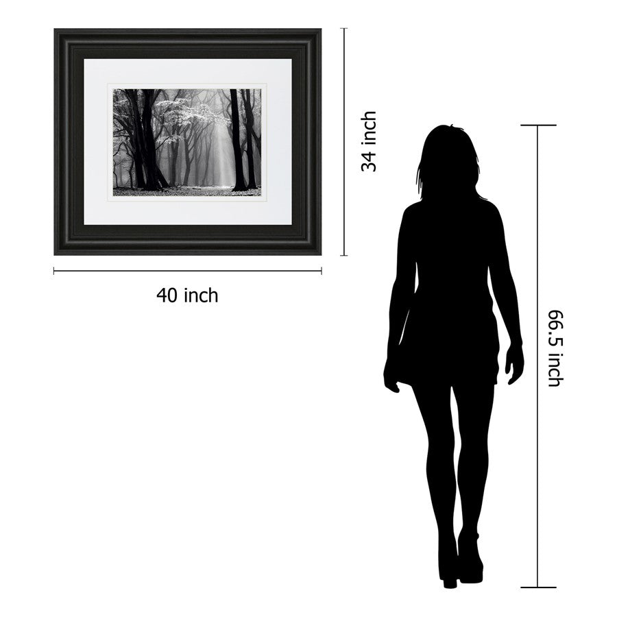 Classy Living Midnight Grove 40x34in Wall Art | Contemporary Midnight Aura MDF Frame with Real Glass | Living Room & Office Decor | 1 x 40 | Model DM5452