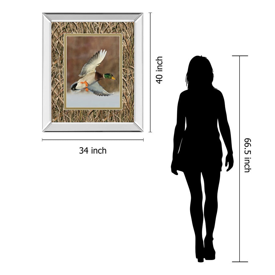 Classy Living Flying Mallard Wall Art 34x40in | Contemporary Mirrored Frame | Living Room & Office Decor | 34 x 40 x 3 in | Model DM5557MF
