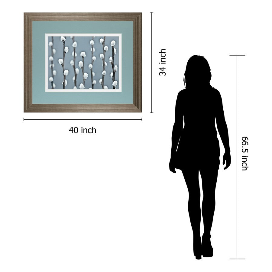 Classy Living Protected Wall Art Double Mat 40x34 | Contemporary Botanical Tranquil Ash MDF Frame | Living Room & Bedroom Wall Decor | 40 x | Model DM5620