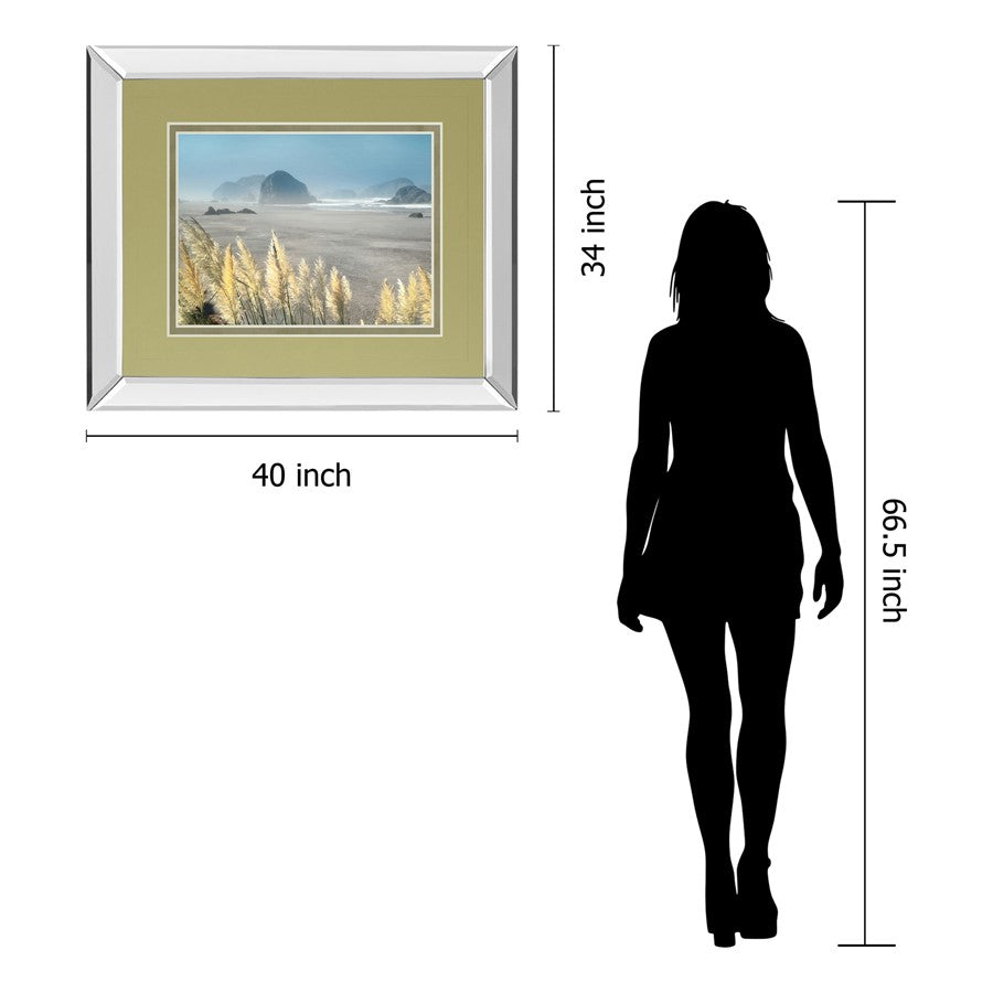 Classy Living Pompas Beach Wall Art 40x34in | Contemporary Coastal Scene Mirrored Frame | Living Room & Bedroom Wall Decor | 40 x 34 x 3 | Model DM5644MF
