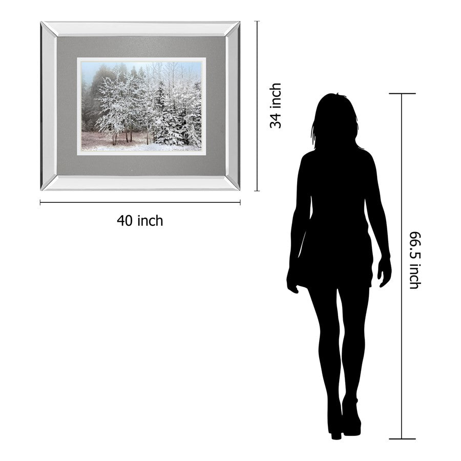 Classy Living Frosty Morning Wall Art 40x34in | Transitional Mirrored Frame | Living Room & Bedroom Winter Decor | 34 in H | Model DM5827MF