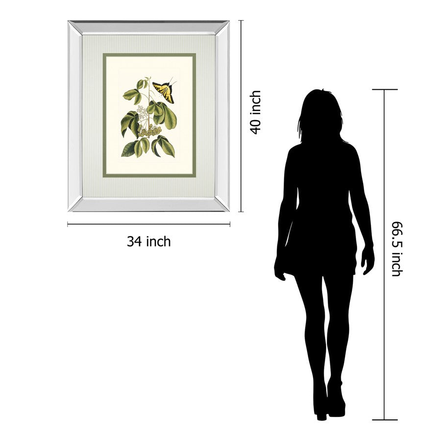 Classy Living Butterfly Elegance Wall Art 34x40in | Traditional Mirrored Frame with Real Glass | Living Room & Bedroom Botanical Decor | Model DM5886MF