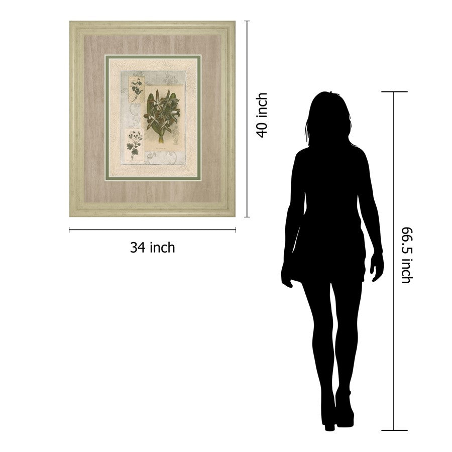 Classy Living Orchid Elegance 34x40in Wall Art | Transitional Ivory Bliss MDF Frame and Paper Print | Living Room, Bedroom & Office Decor | Model DM5888