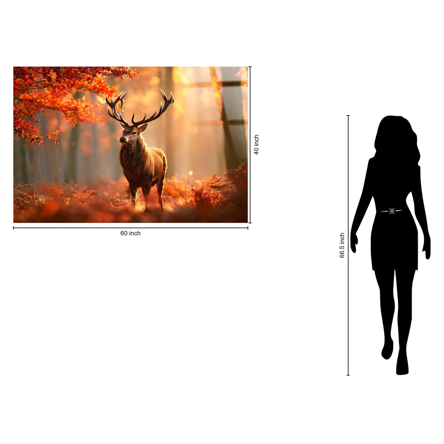 Classy Living Expansive Autumn Stag 40"x60", Amber/Brown/Orange