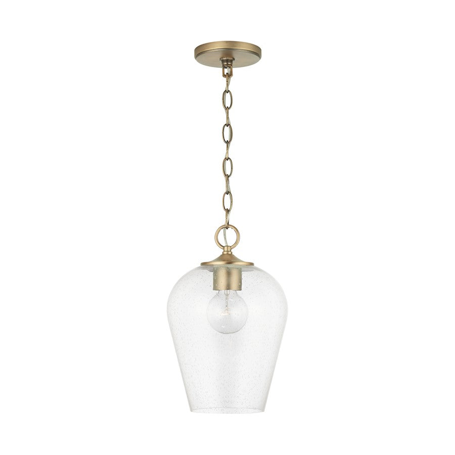 1 Light Pendant