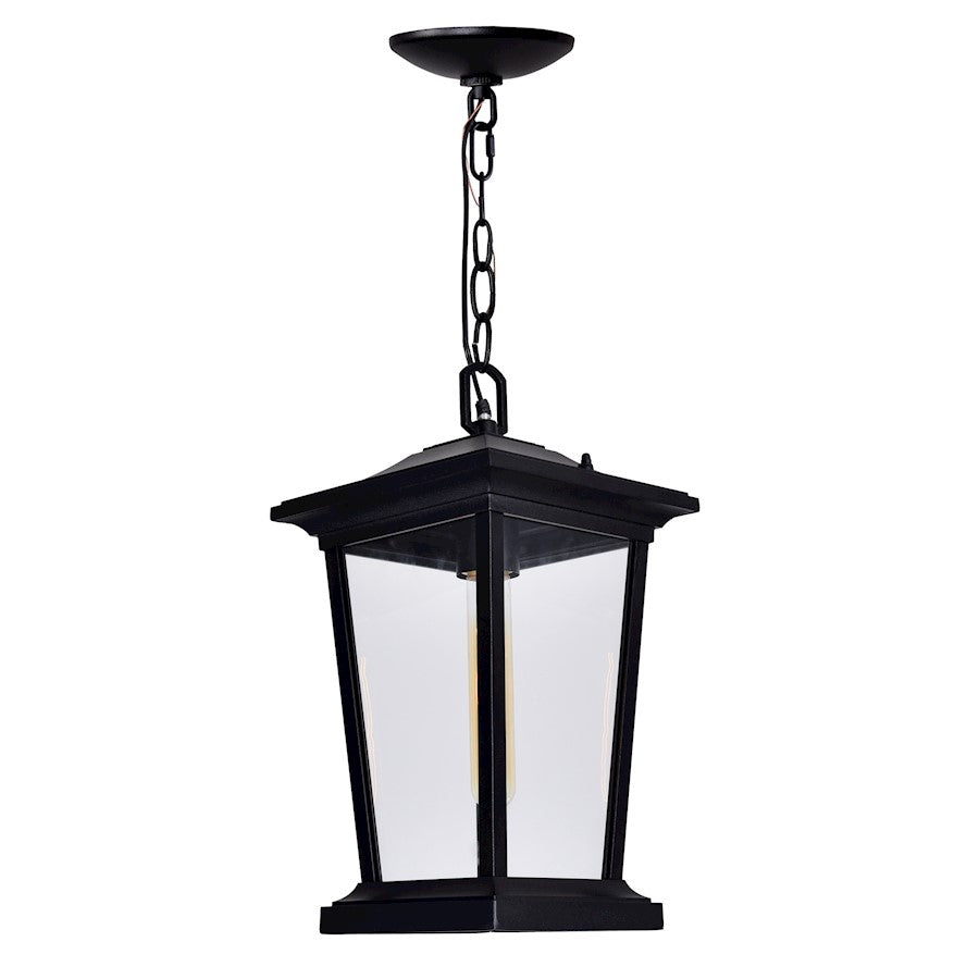 1 Light Outdoor Hanging Light, Black