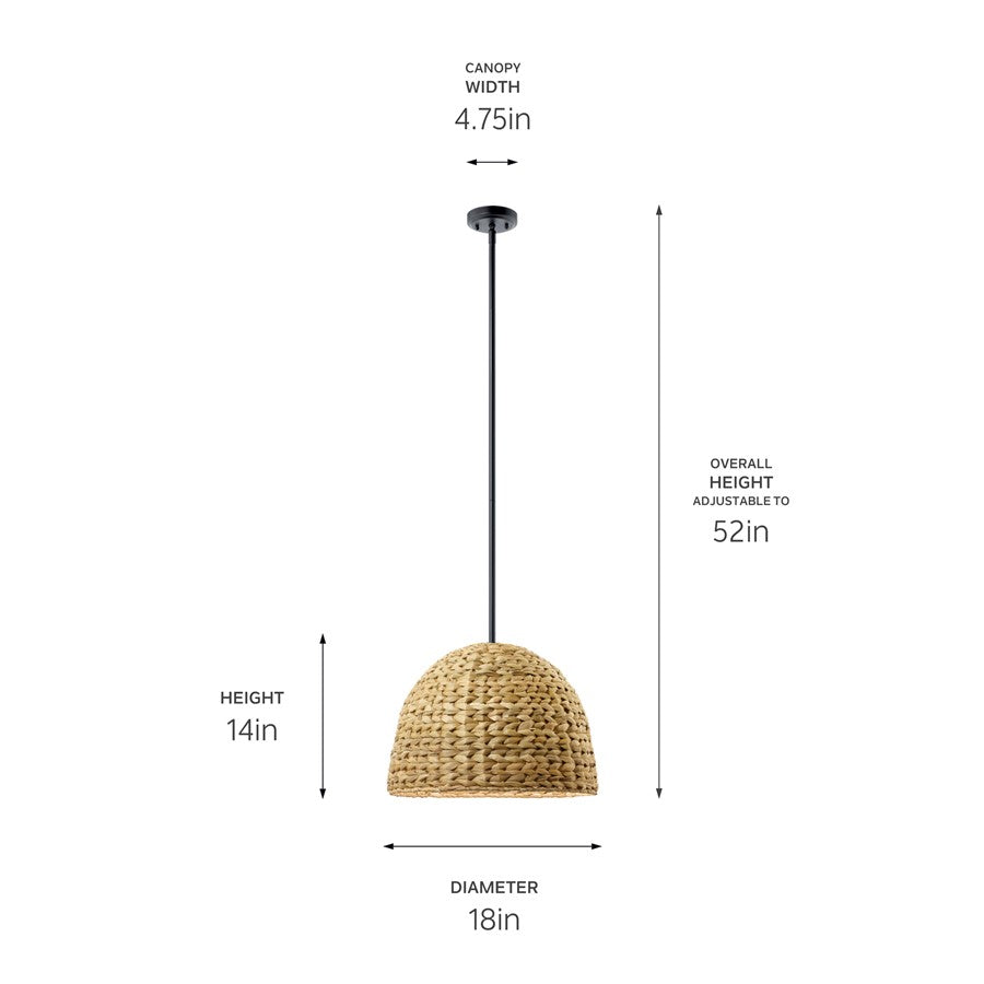 Kichler Raffiana 1 Light Mini Pendant, Black/Clear Satin Etched