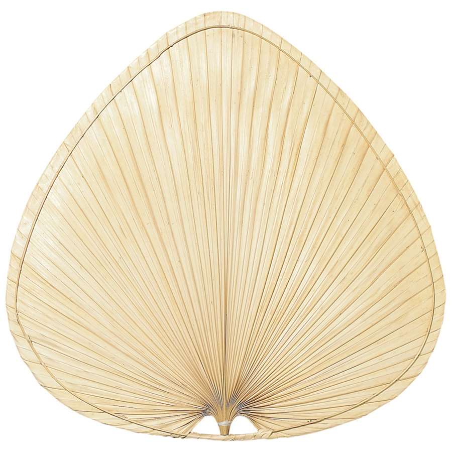 Fanimation Palmetto 18in Wide Oval Palm Fan Blades | Natural Palm | Dry Locations | Set of 3 | Model PMP2AB