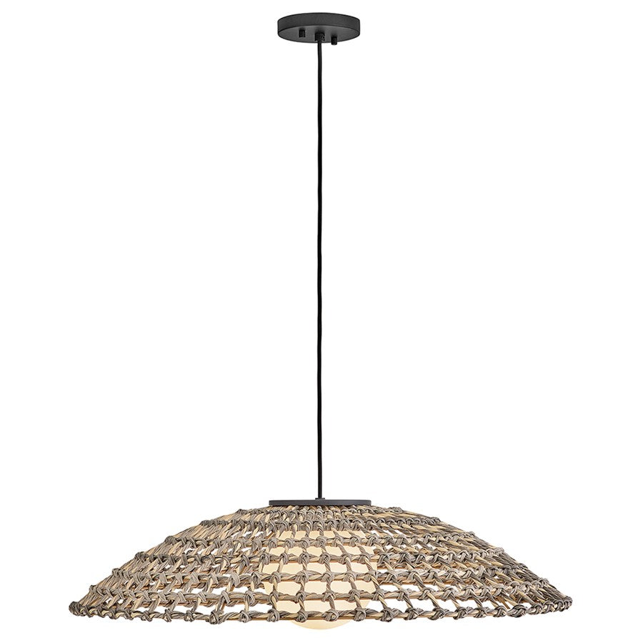 Hinkley Lighting Arlen 1Lt 30" Outdoor Pendant, Black/Etched Opal - 10395BK-LV
