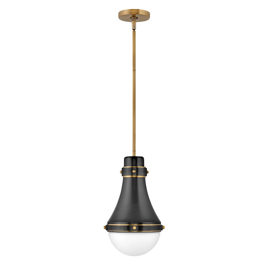 1 Light Pendant