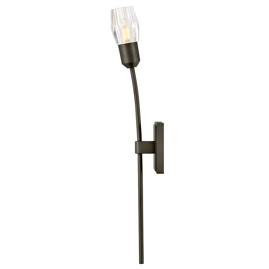 Hinkley Atera 1Lt Wall Mount, Black Oxide/Faceted Clear Crystal