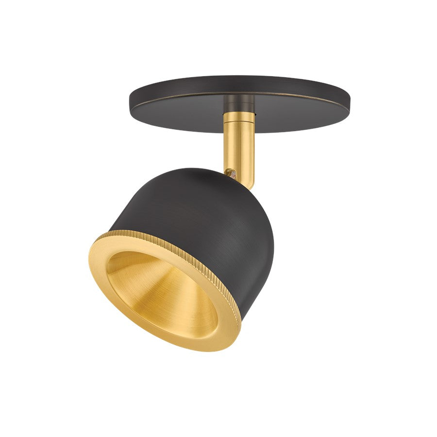 Hudson Valley Tuthill 1Lt Flush Mount, Brass/Distressed Bronze - 3041-AGB-DB