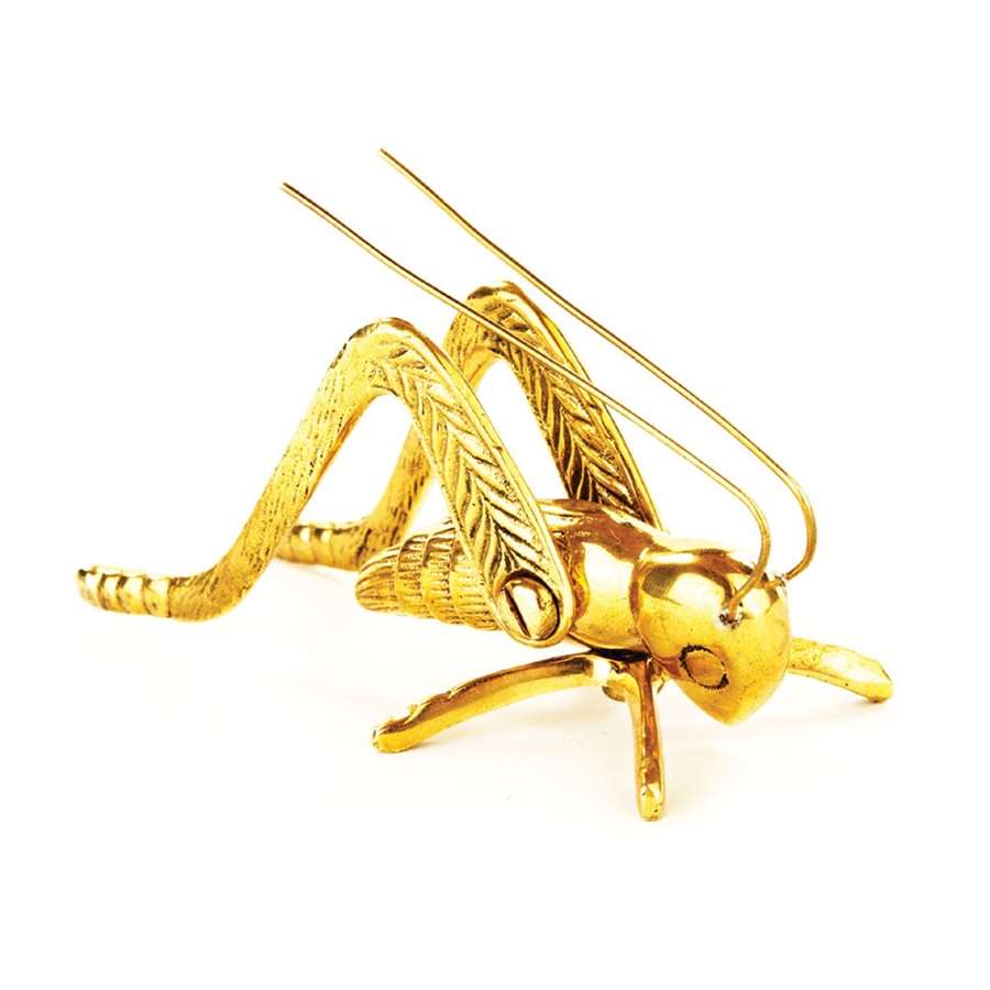 Minuteman International Hearth Cricket | Polished Brass Fireplace Decor | Living Room & Hearth Accent | 4.375 x 2 in | Model HCRK-01P