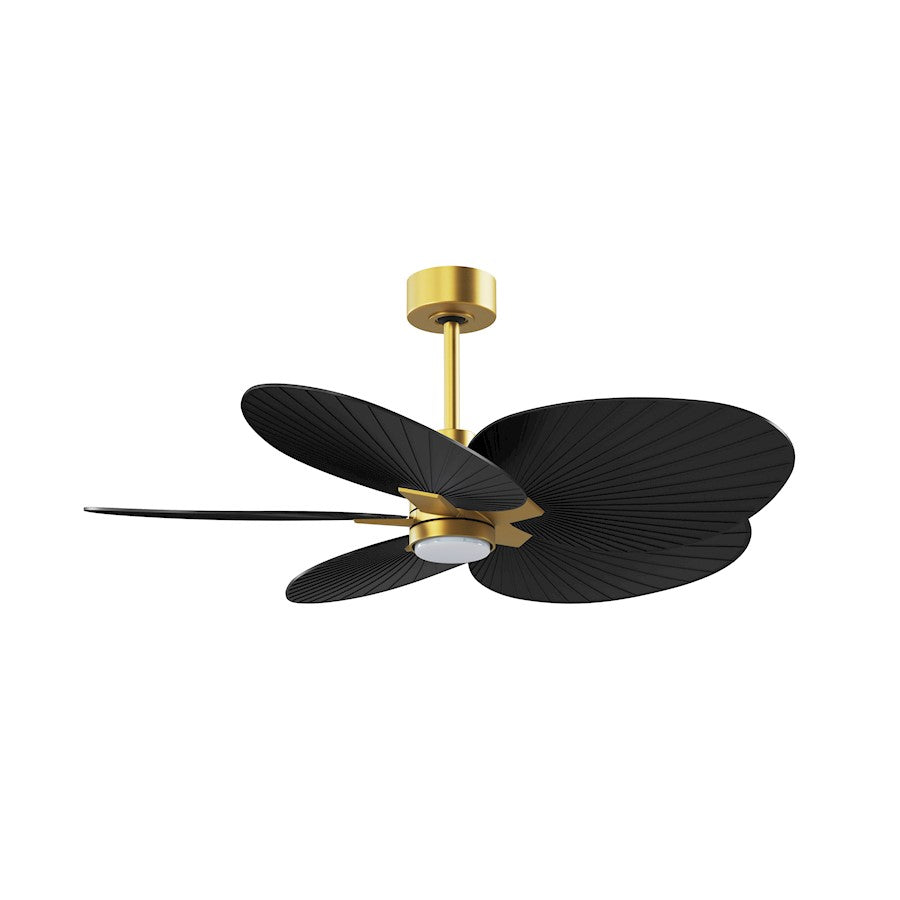 Matthews Fans Alessandra Tropical 48in 5-Blade Ceiling Fan | Brushed Brass and Matte Black ABS Blades | Covered Patio & Large | Model AKTPLK-BRBR-BK