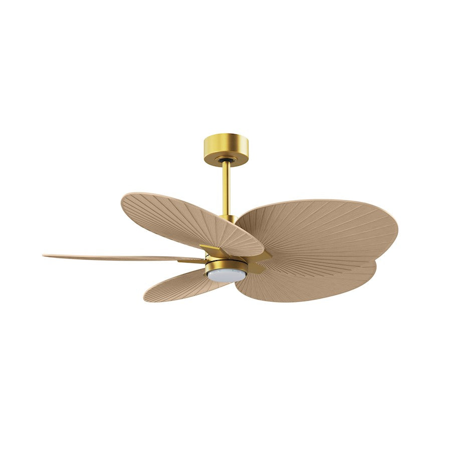 Matthews Fans Alessandra Tropical 48in 5-Blade Ceiling Fan | Transitional Brushed Brass and Light Maple Tone ABS Blades | Model AKTPLK-BRBR-LM