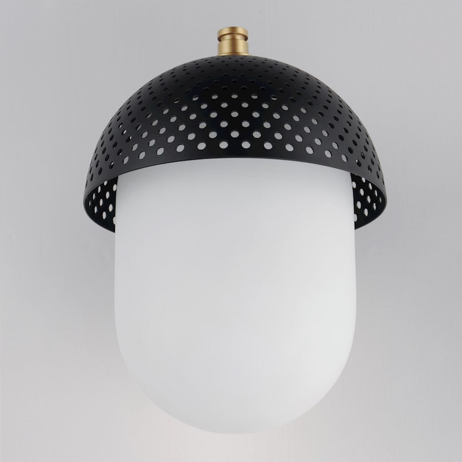 1 Light Outdoor Wall Sconce