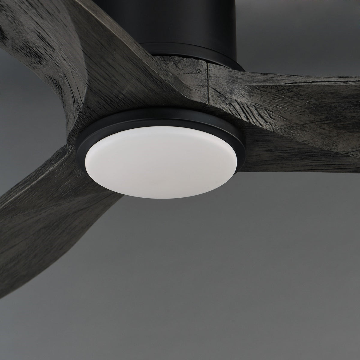 Maxim Lighting Woodwind 1Lt 10.5" Ceiling Fan, Blk/Grey/Wht - 88830WTBKGWD