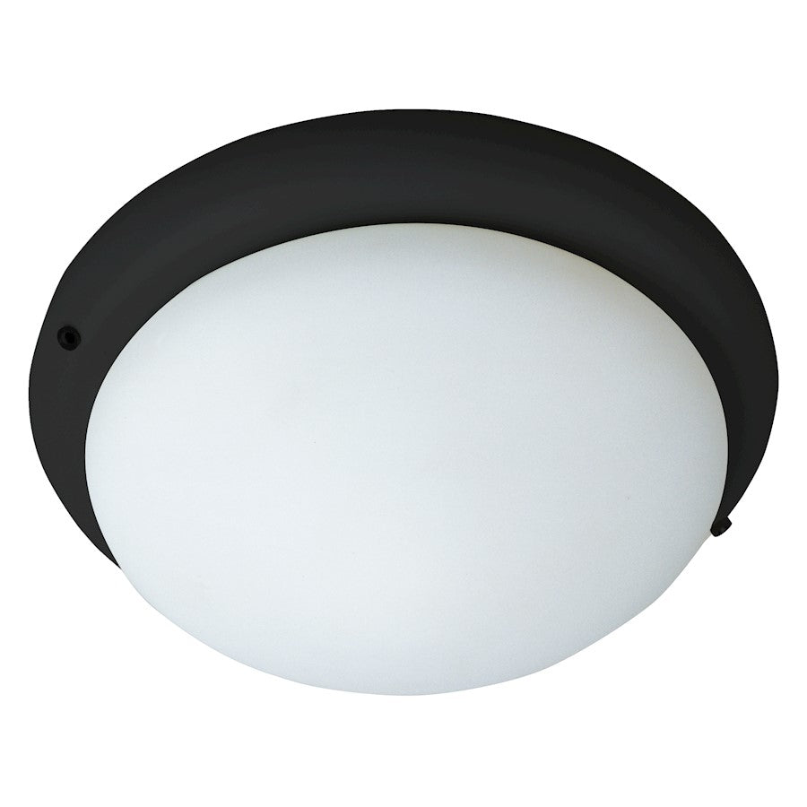 Maxim Lighting 1-Light Ceiling Fan Light Kit, Black/Satin White