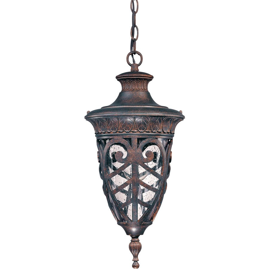 Nuvo Lighting Aston 1-Light Outdoor Hanging Lantern | Dark Plum Bronze and Clear Seeded Glass | Covered Porch & Entryway | 9.5 x 21 in | Model 60-2058