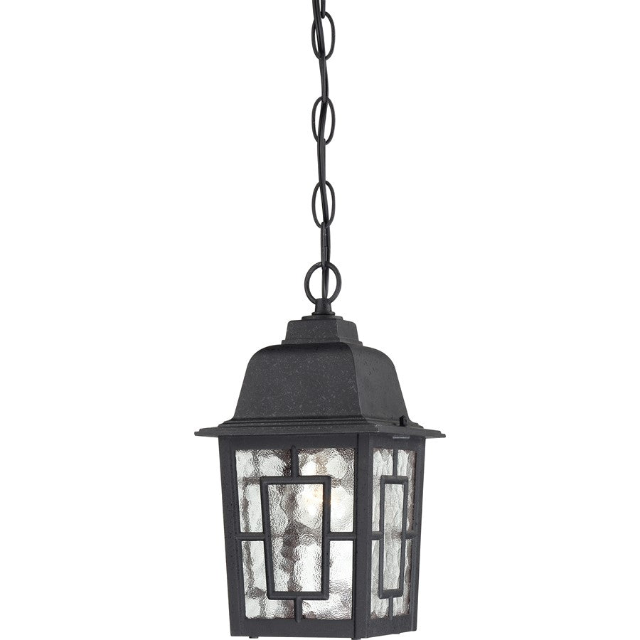 Nuvo Banyan 11in 1-Light Outdoor Hanging | Transitional Textured Black and Clear Water Glass | Covered Patio & Entryway | 6.125 x 6.125 x | Model 60-4933