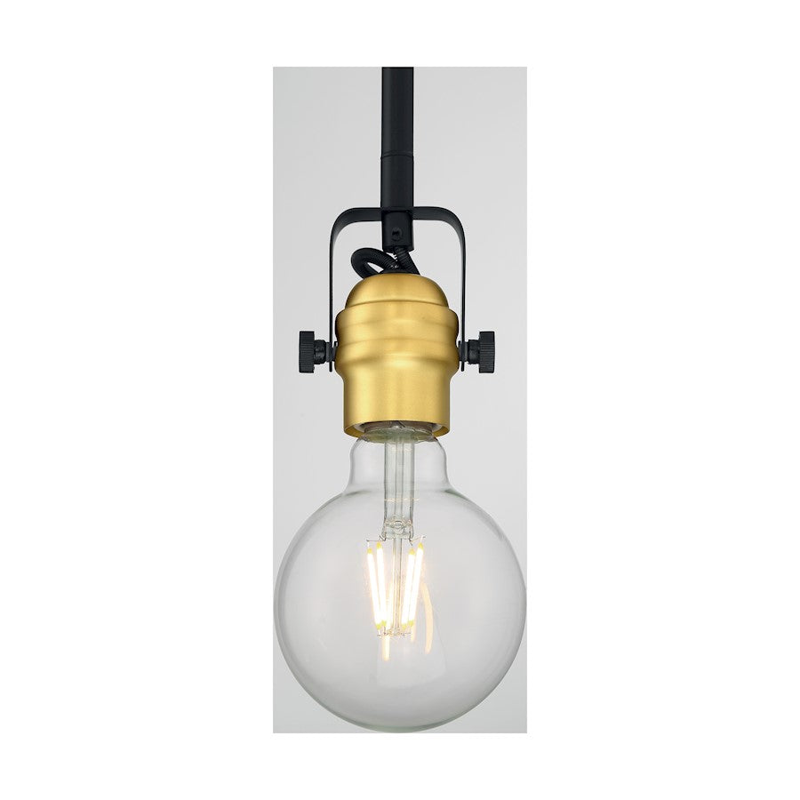 1 Light Mini Pendant, Black