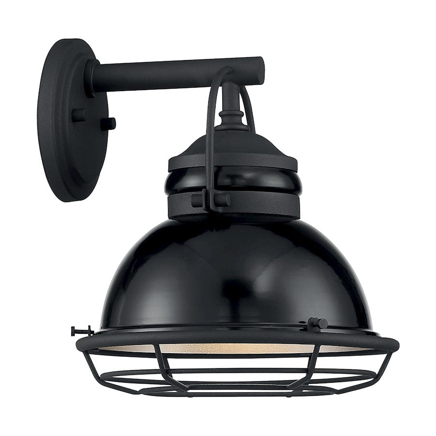1 Light Wall Sconce