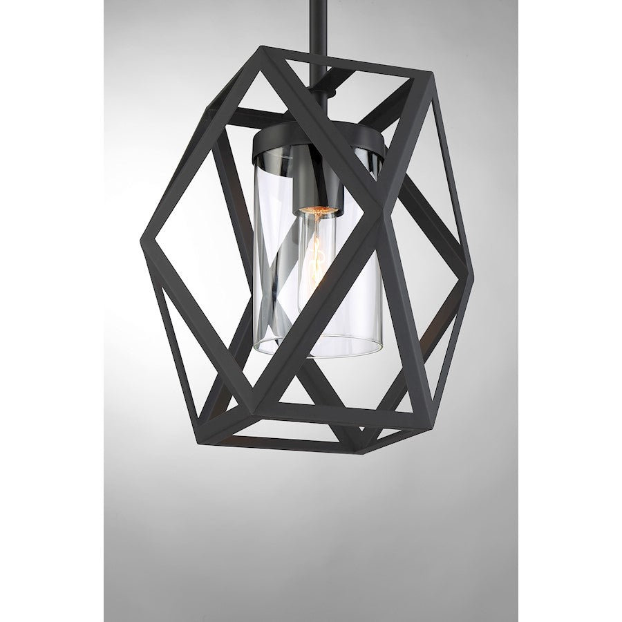 1 Light Mini Pendant, Clear Glass, Black