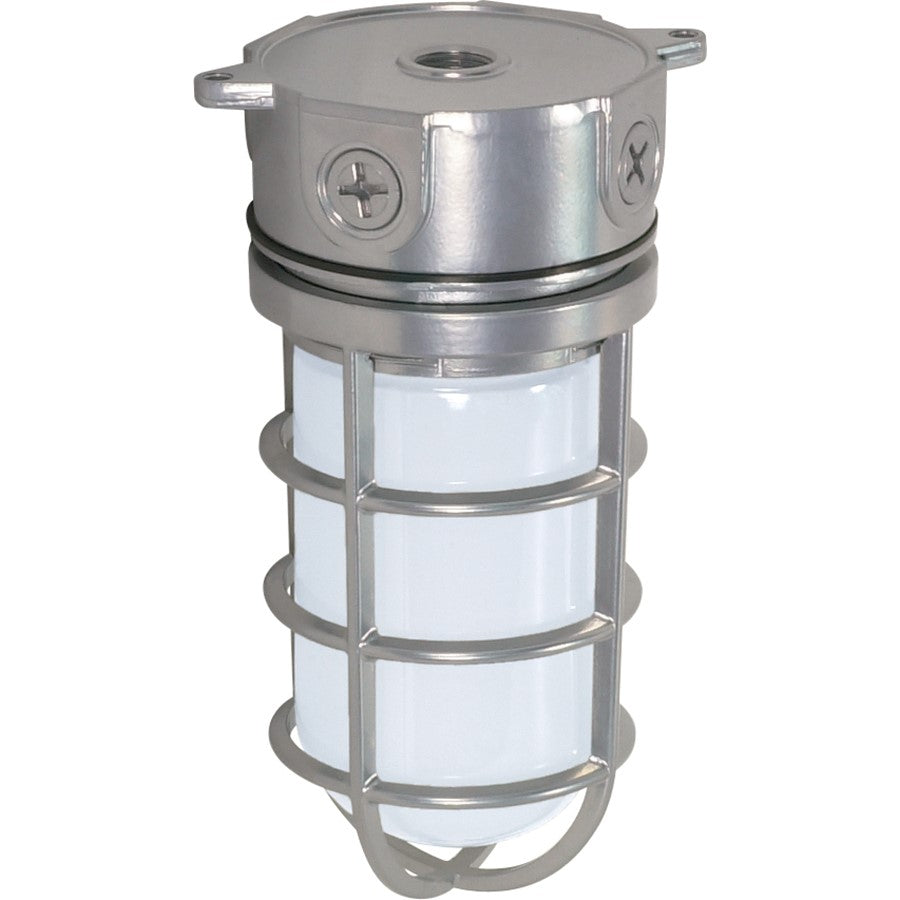 Nuvo SF76-624 1-Light Outdoor Flush Mount | Traditional Metallic Silver and Frosted Glass | Covered Patio & Entryway | 4.25 x 9.375 in | Model SF76-624