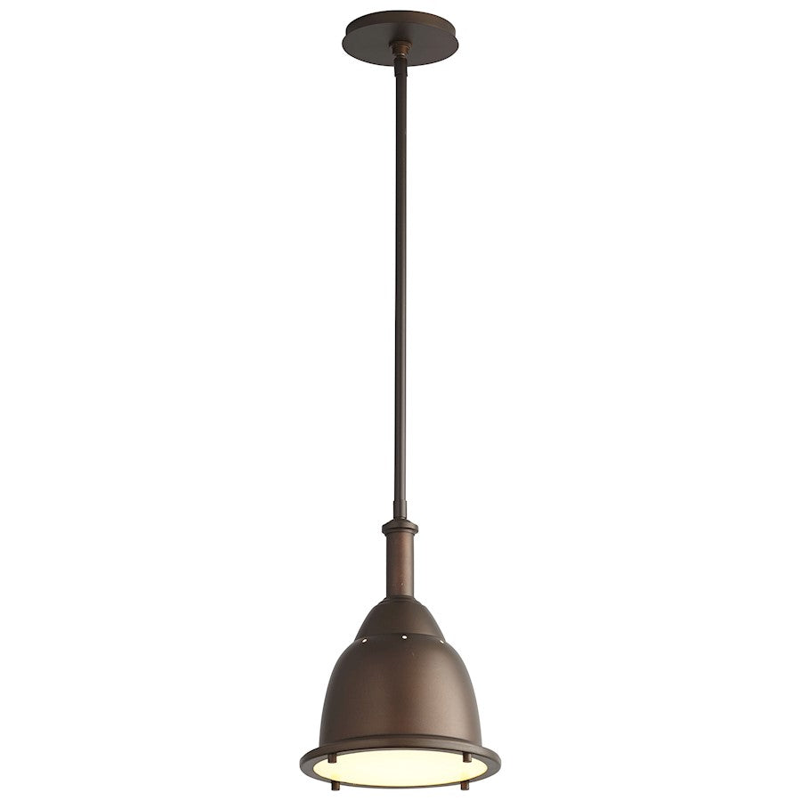 1 Light Led Pendant