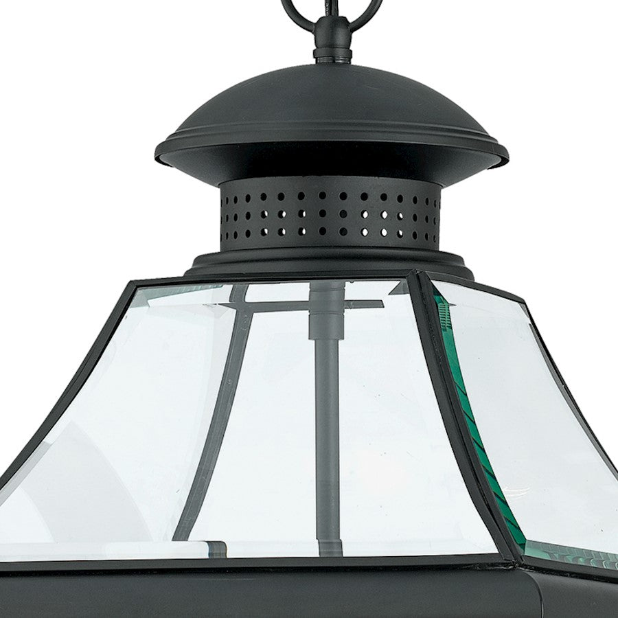 3 Light Rutledge Outdoor Pendant, Mystic Black