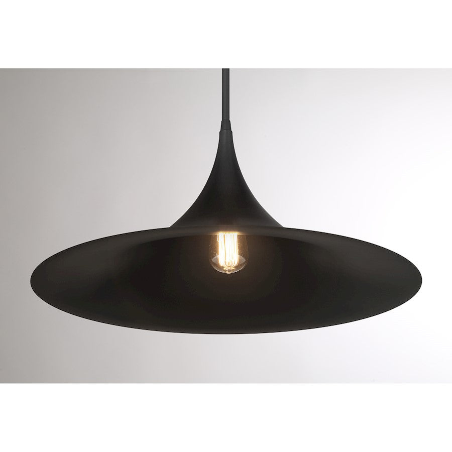 1 Light Pendant, Matte Black