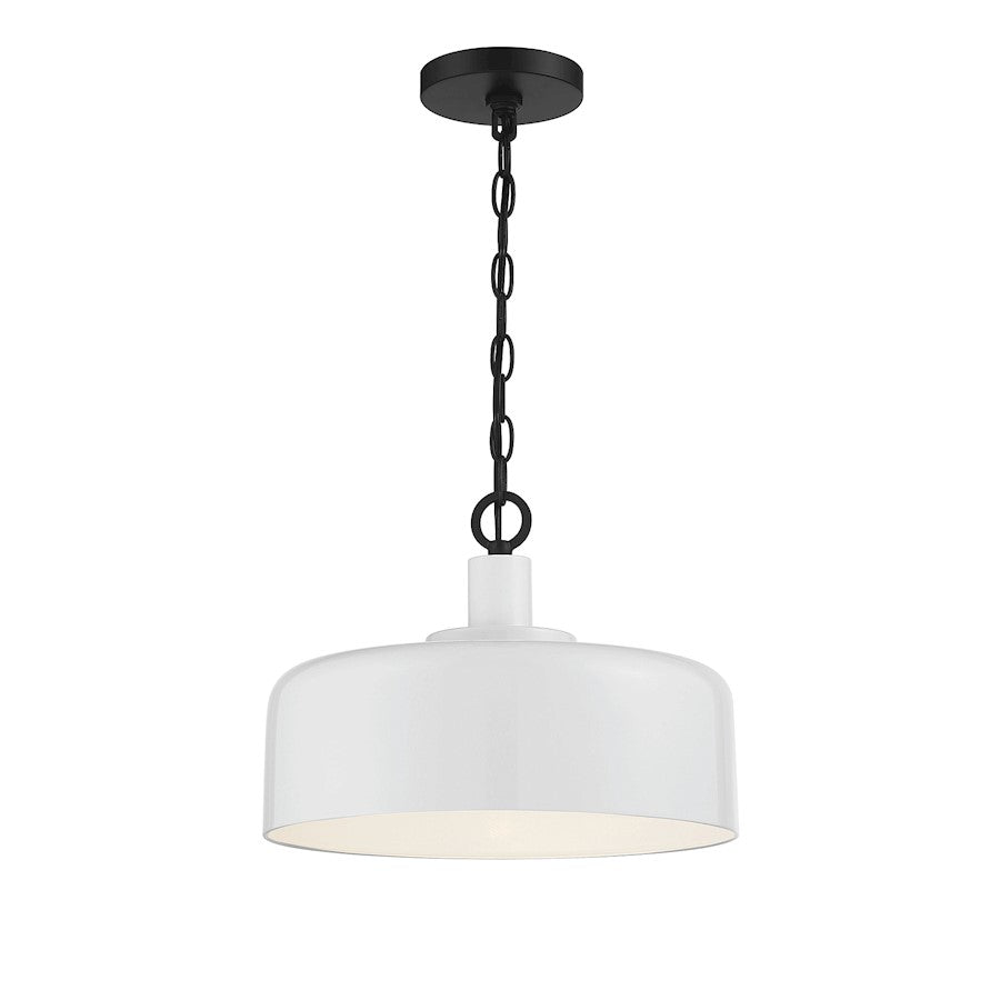 1 Light Pendant, White/Black