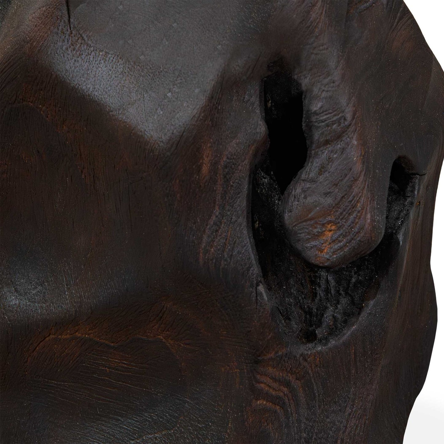 Uttermost Ember Root Teak Sculpture Set/2 | Burnt Black Wood Finish | Console & Shelf Decor | 8.25 x 8 x 10.25 in | Model 17152