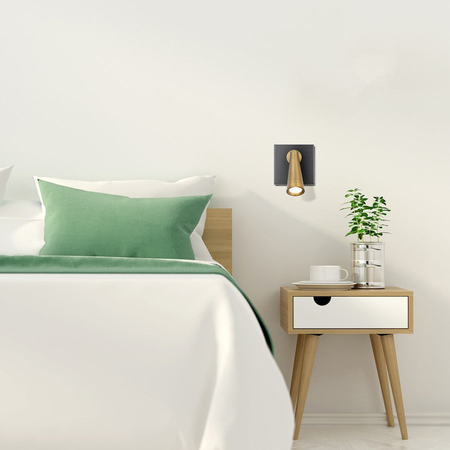 1 Light Wall Sconce