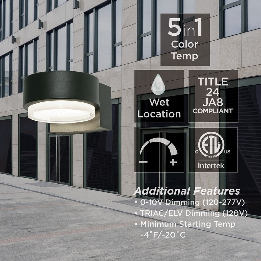 AFX Lighting Elm 1 Light Outdoor Sconce, Black/Black