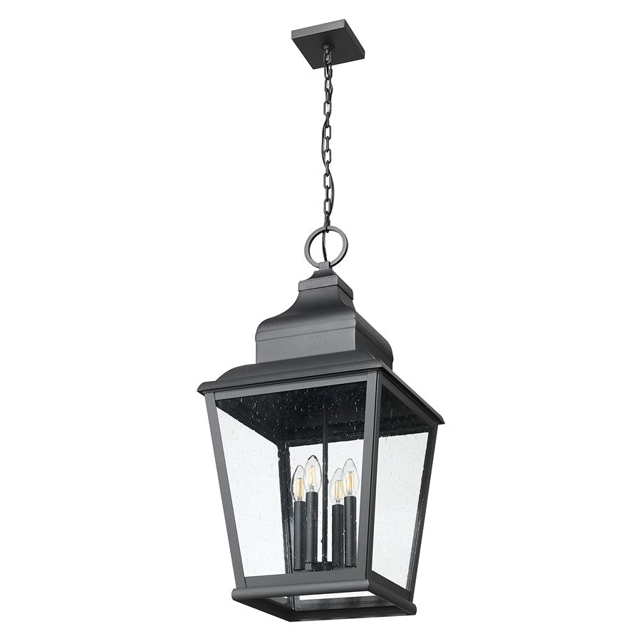 Z-Lite Raphael 4Lt Outdoor Chain Mount Ceiling, Black/Clear Seedy