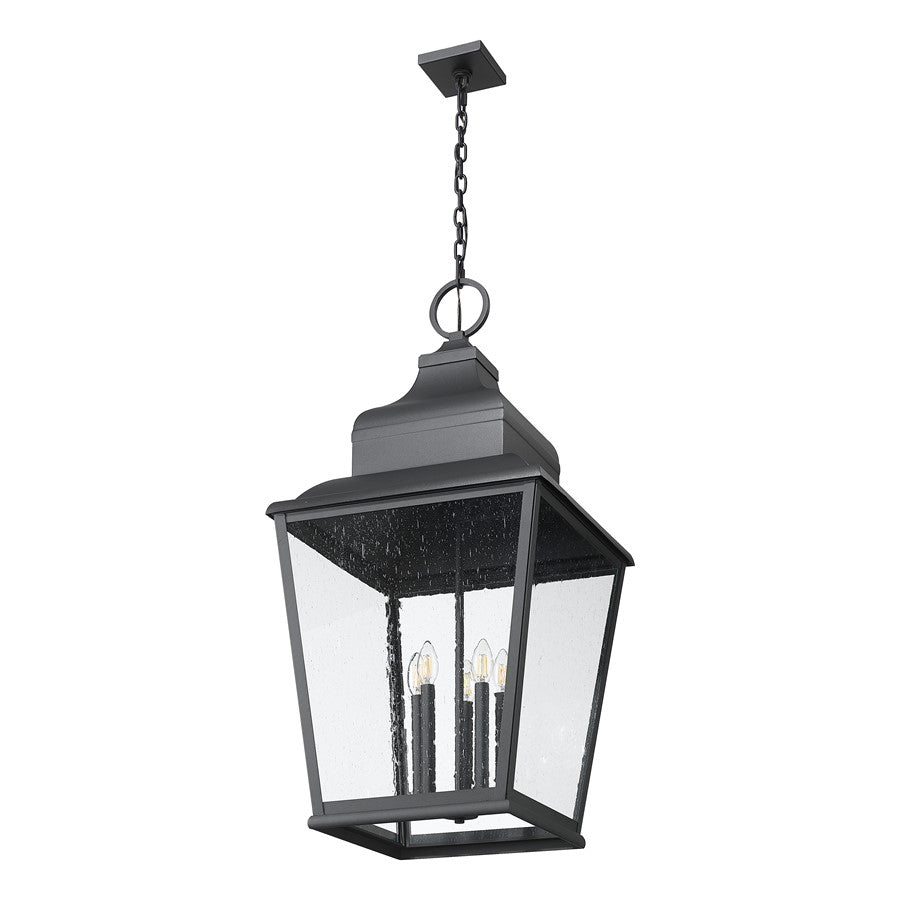 Z-Lite Raphael 5Lt Outdoor Chain Mount Ceiling, Black/Clear Seedy