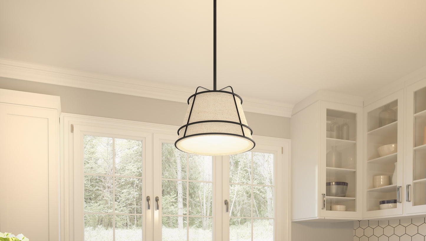 1 Light Mini Pendant, Matte Black