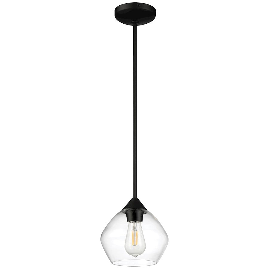 1 Light LED Pendant, Black/Clear