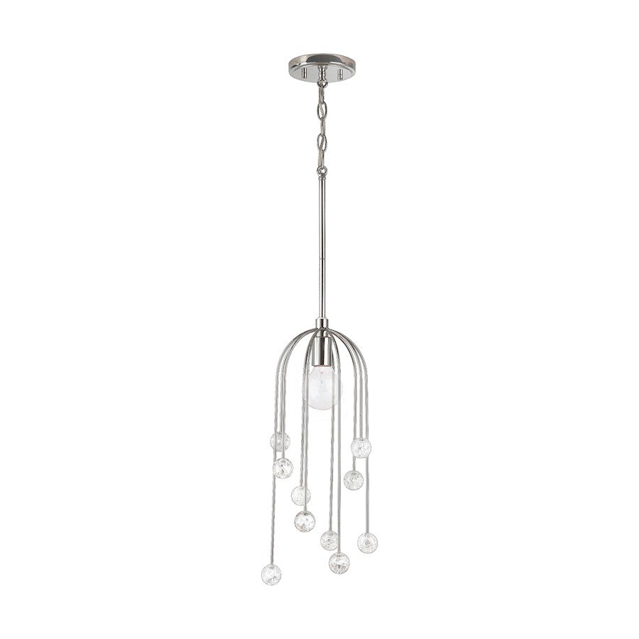 1 Light Pendant, Polished Nickel