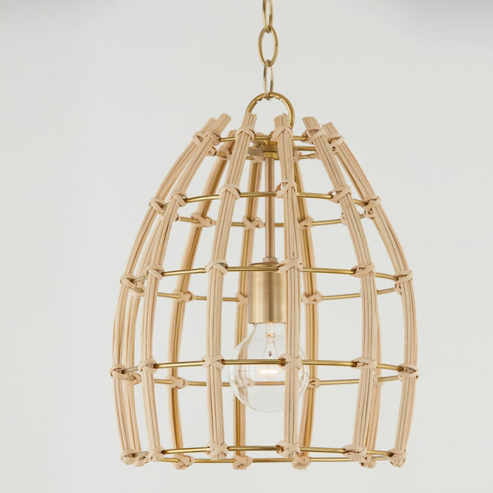 Capital Lighting Wren Pendant, Matte Brass